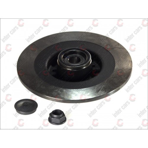 Brake disk with bearing