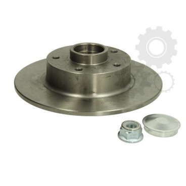 Brake disk with bearing