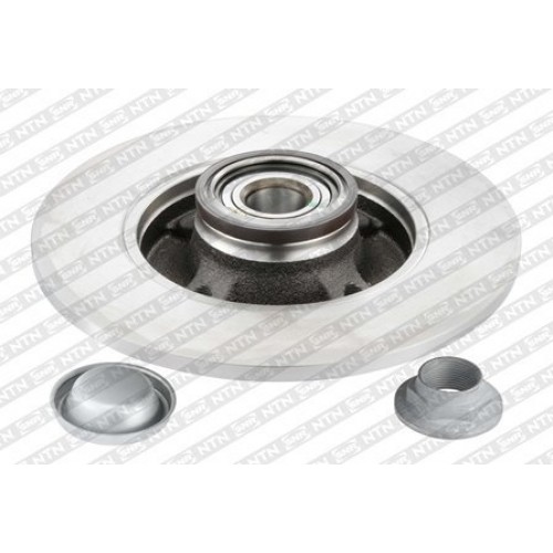 Brake disk with bearing