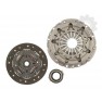 Clutch kit with bearing