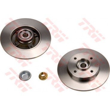 Brake disk with bearing