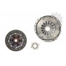 Clutch kit with bearing