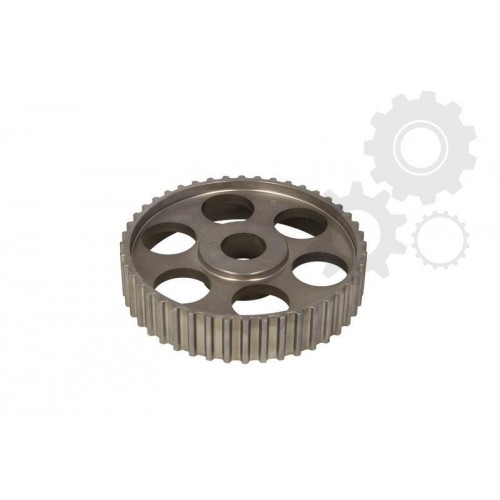 Pinion ax cu came/roata dintata