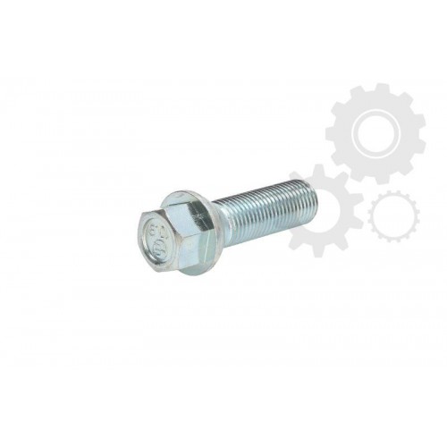 Wheel bolt