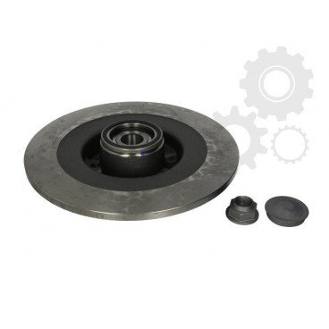 Brake disk with bearing