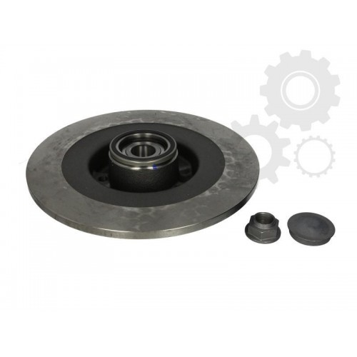 Brake disk with bearing