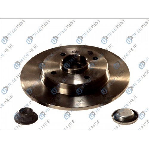 Brake disk with bearing