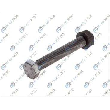 Leaf spring fixing bolt