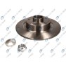 Brake disk with bearing