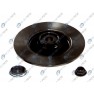 Brake disk with bearing