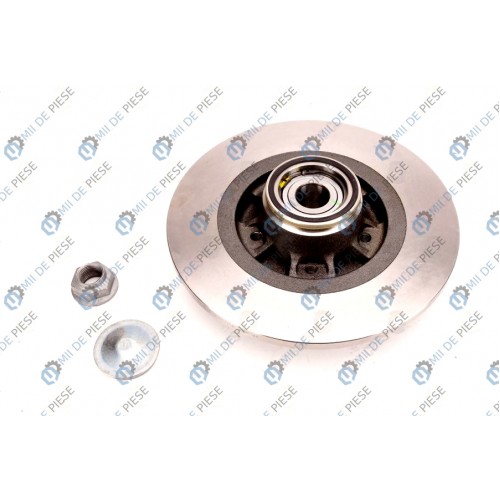 Brake disk with bearing