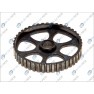 Pinion ax cu came/roata dintata