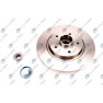 Brake disk with bearing