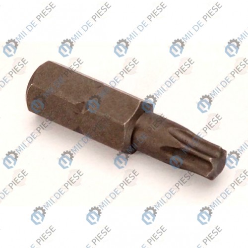 10mm TORX gaura