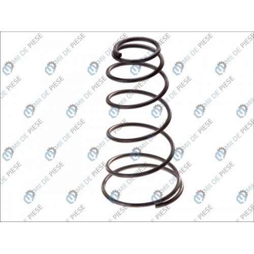 Brake servo-motor spring