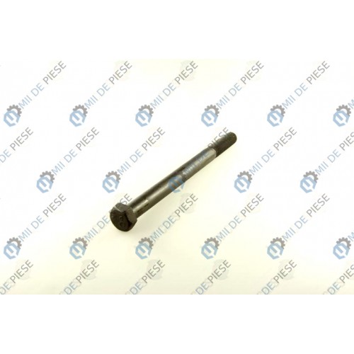 Leaf spring fixing bolt