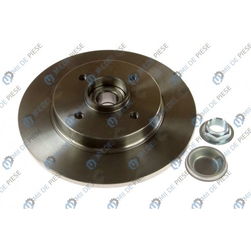 Brake disk with bearing