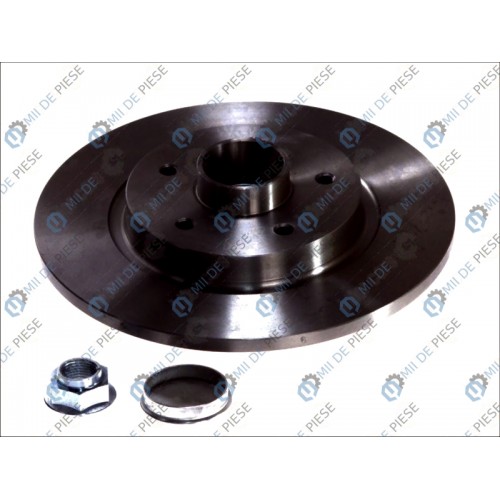 Brake disk with bearing