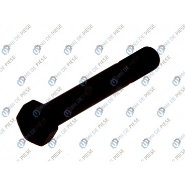 Leaf spring fixing bolt