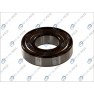 Standard ball bearing