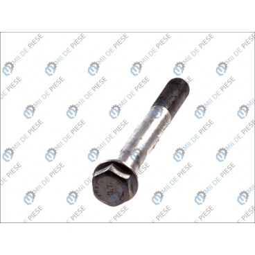 Leaf spring fixing bolt