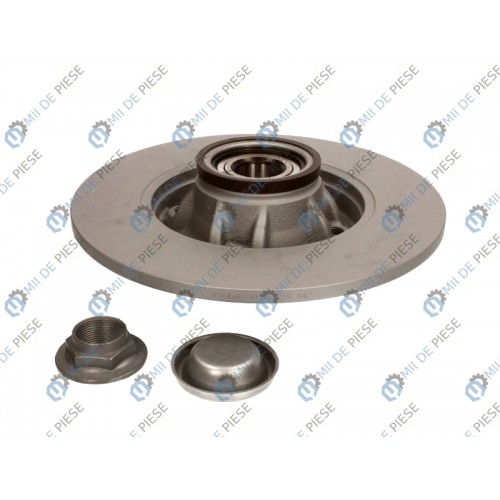 Brake disk with bearing