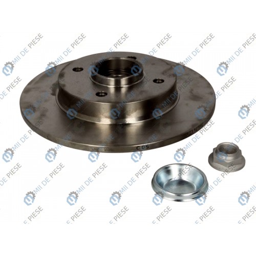 Brake disk with bearing