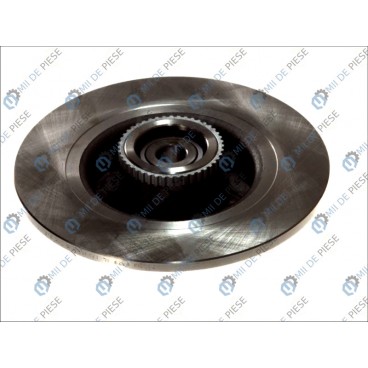 Brake disk with bearing