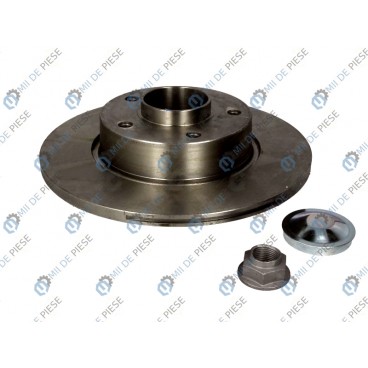 Brake disk with bearing