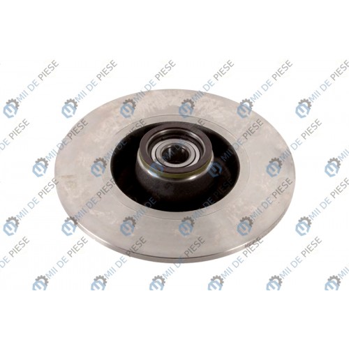 Brake disk with bearing