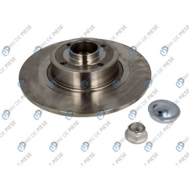 Brake disk with bearing