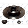 Brake disk with bearing