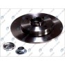 Brake disk with bearing