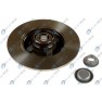 Brake disk with bearing