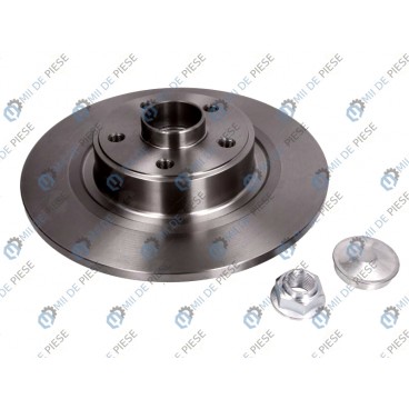 Brake disk with bearing