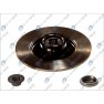 Brake disk with bearing