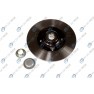 Brake disk with bearing