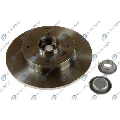 Brake disk with bearing