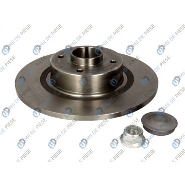 Brake disk with bearing