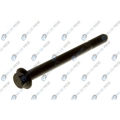 Leaf spring bolt