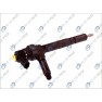 Injector electromagnetic CR