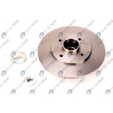 Brake disk with bearing