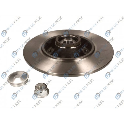 Brake disk with bearing