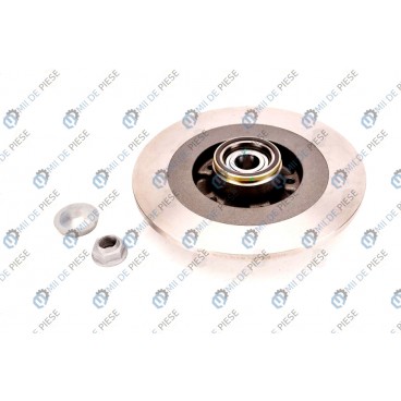 Brake disk with bearing