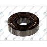 Standard ball bearing