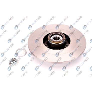 Brake disk with bearing