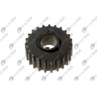 Pinion arbore cotit