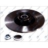 Brake disk with bearing