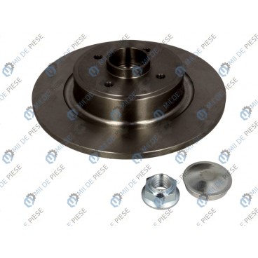 Brake disk with bearing