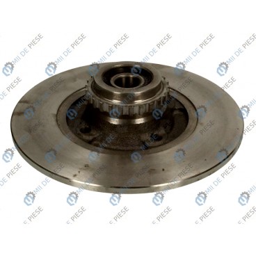 Brake disk with bearing